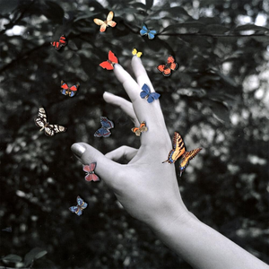 MIDDLE KIDS - Cellophane - Zortam Music