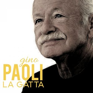 La gatta