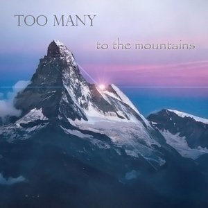 Avatar for Too Many