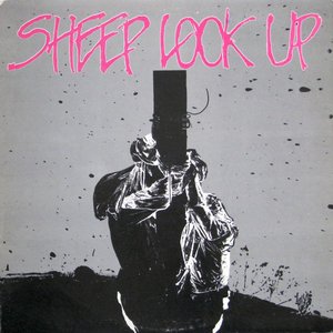 Sheep Look Up