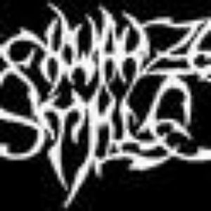 Schwarze Stille 的头像