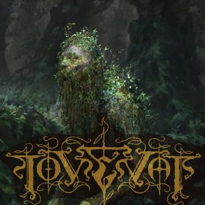 Tovenaar