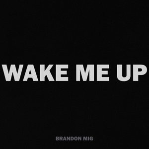 Wake Me Up