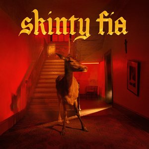 Image for 'Skinty Fia'