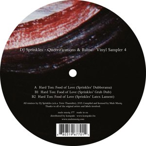 Queerifications & Ruins Vinyl Sampler 4