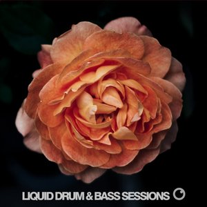 Liquid Drum & Bass Sessions 2019 Vol 4