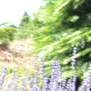 [JAMII] 的头像