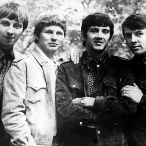 The Searchers photo provided by Last.fm