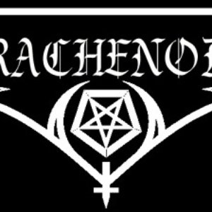 Drachenord 的头像