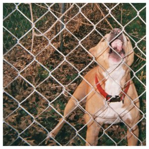 Pop Culture - EP