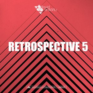 Retrospective 5