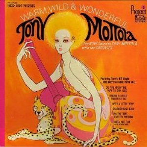 Avatar for Tony Mottola and The Groovies