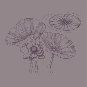 The Lotus-Eaters