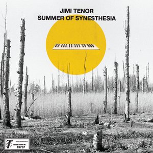 Summer Of Synesthesia