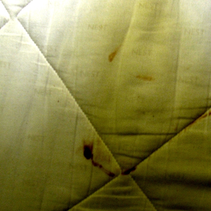 Did your editing programs f*ck up?