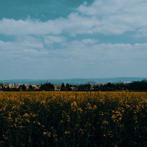 AK - Shallow Water - Zortam Music