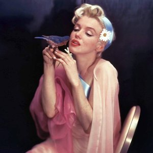 Marilyn Monroe 的头像