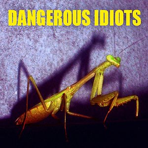 Dangerous Idiots