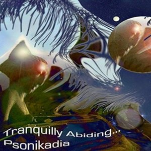 tranquility abiding