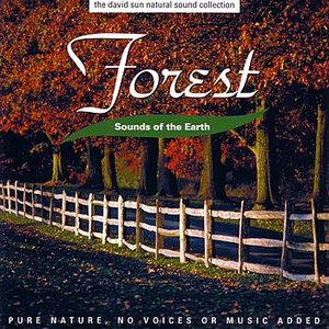 Sounds Of The Earth: Forest