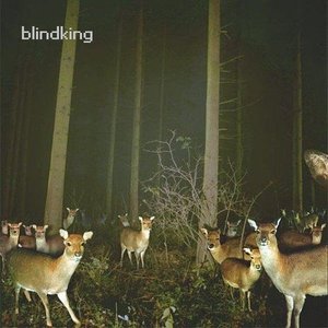 BlindKing 的头像
