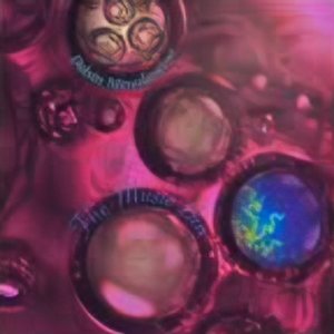 Musicboxes 的头像