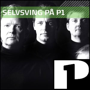 Avatar for Selvsving