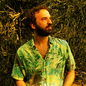 Marcelo Camelo photo provided by Last.fm