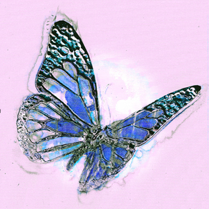 Rico Nasty & Boys Noize - Arintintin Lyrics - Zortam Music