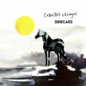 Caballos salvajes