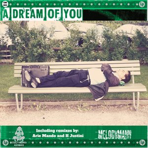 A Dream of You