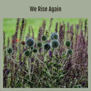We Rise Again