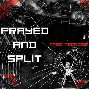 Frayed and Split