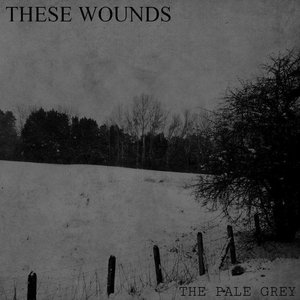 The Pale Grey