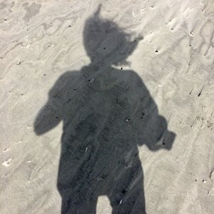 Image for 'C-SHAPE'