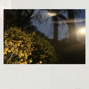brdynl 的头像