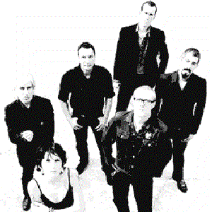 TURTLE RAMBLERS 的头像