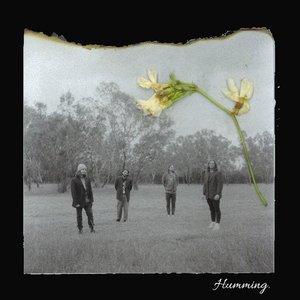 Goodbye (Live Acoustic) [Live Acoustic] - Single