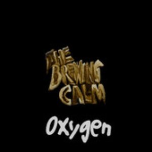 'Oxygen EP', The Brewing Calm (ADH remix)