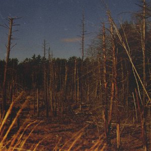 Clear, Bright, Dark of Night, Vol. 1