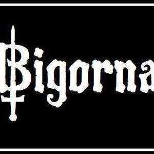 Bigorna 的头像