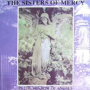 In The Shadow of Angels