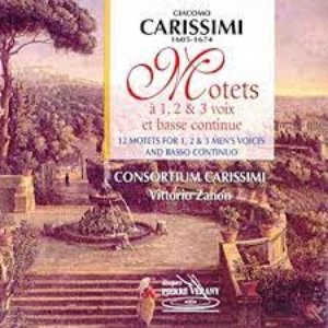 Avatar for Silvestro Durante