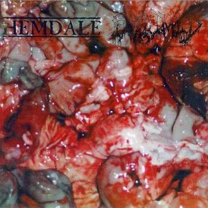 In the Name of Gore