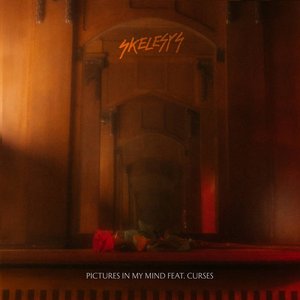 Pictures In My Mind (feat. Curses) - Single