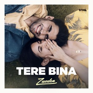 Tere Bina - Single