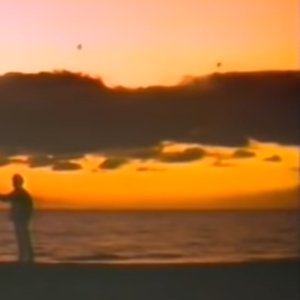 inparadise楽園で