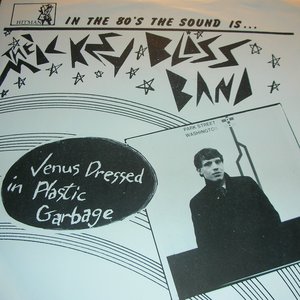 The Mickey Bliss Band 的头像