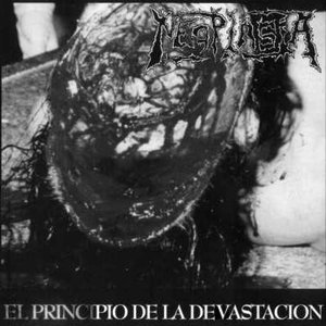 El Principio De La Devastación