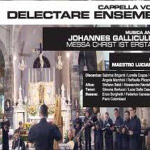 Johannes Galliculus 的头像